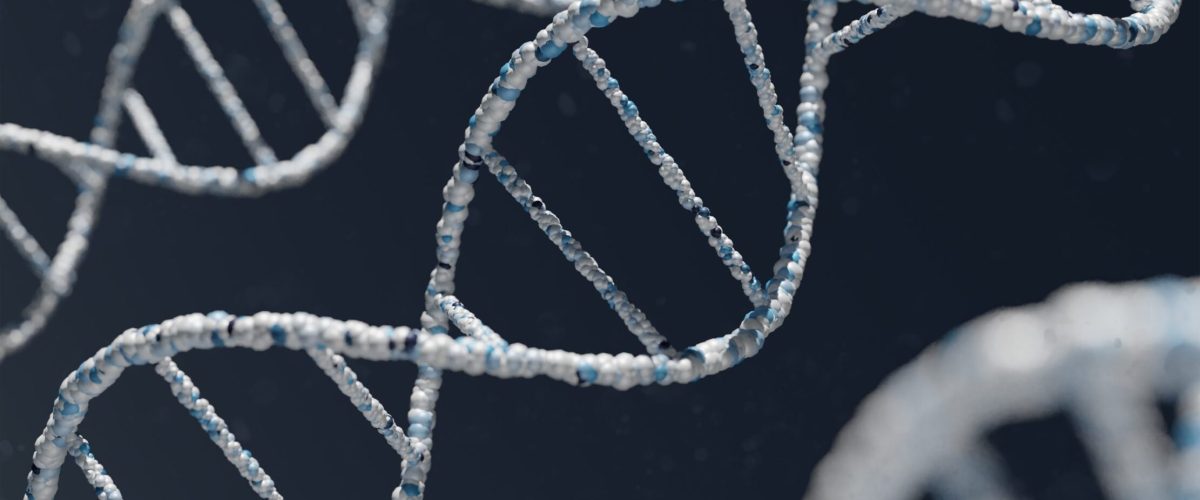 DNA strand DNA Strand